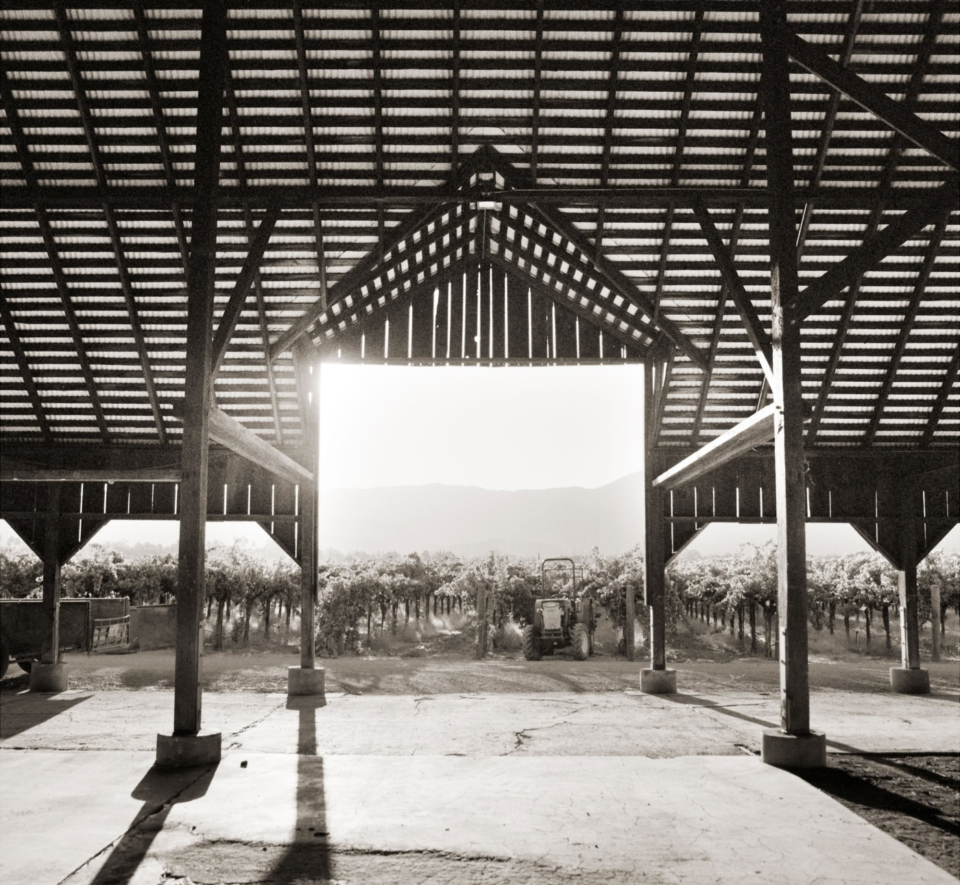 Open barn with view of vineyard and tractor, black and white photo, rustic farm scene, agricultural landscape, rural setting.